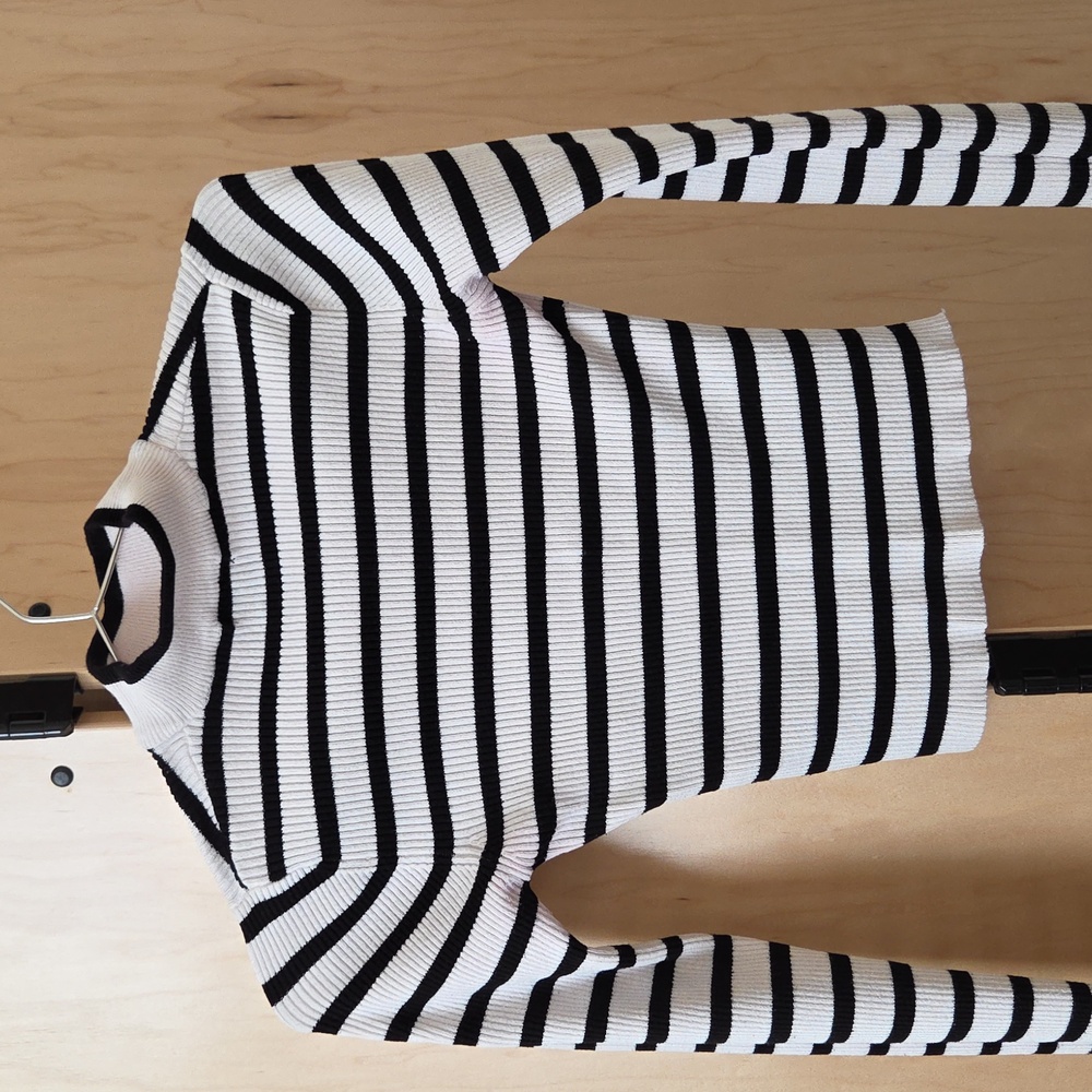 Boohoo Stripped Ribbed Knit Cropped Turtleneck
